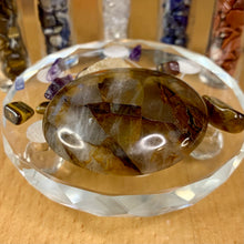 Load image into Gallery viewer, Golden Healer Palm Stones