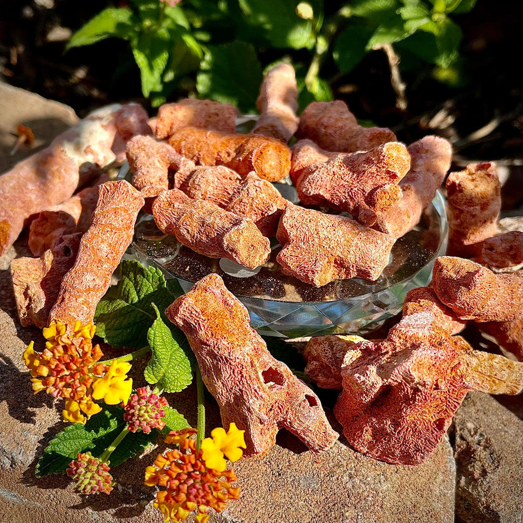 Raw Coral Pieces