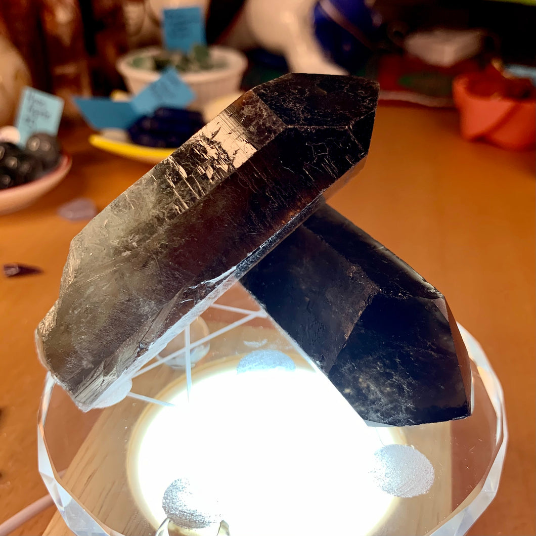 Smoky Quartz Rough Points