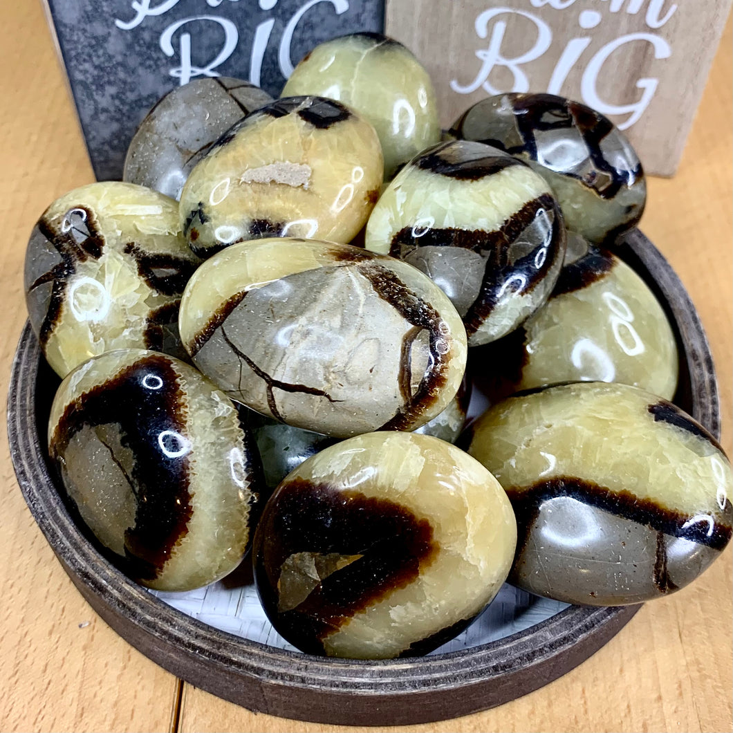 Septarian Palm Stone