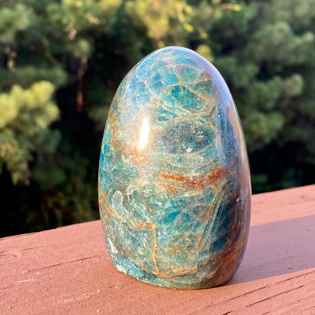 Blue Apatite Freeforms