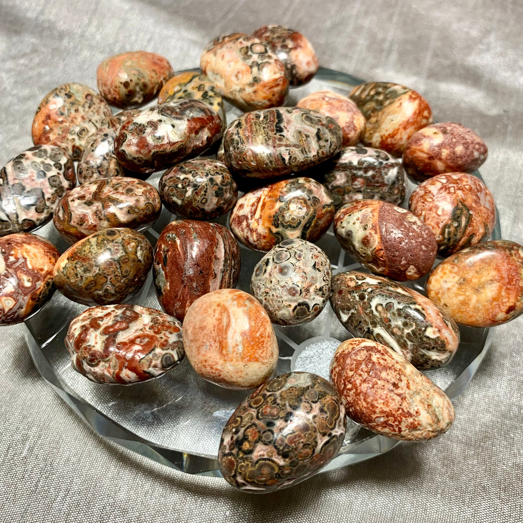 Leopard Skin Jasper Tumbles