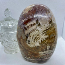 Load image into Gallery viewer, Petrified Wood Freeforms
