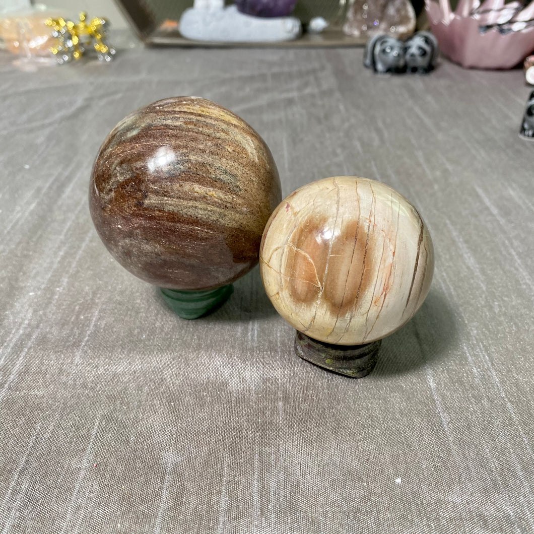 Petrified Wood Spheres