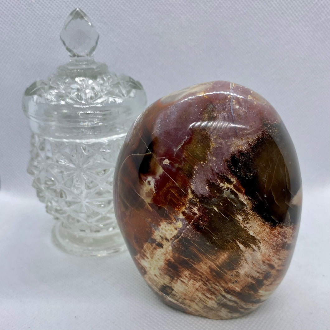 Petrified Wood Freeforms