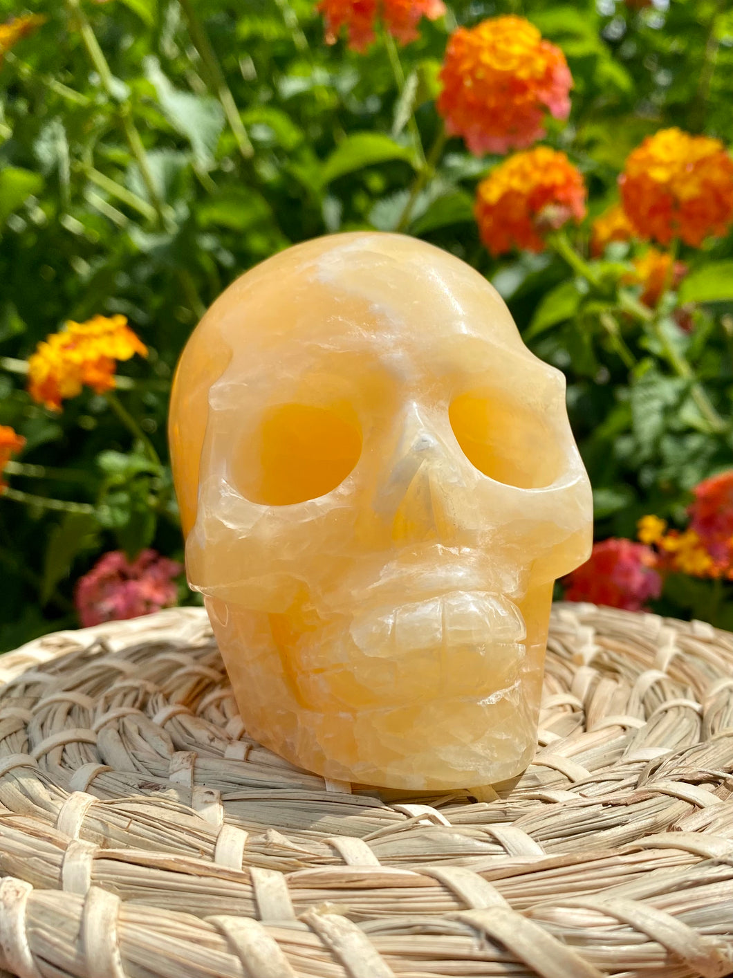 Crystal Skulls - 3+ inches