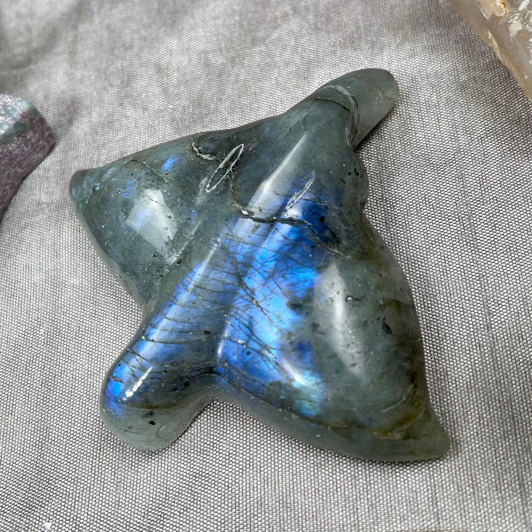 Labradorite Stingrays